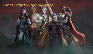 Pathfinder Wrath of the Righteous: come riparare i giocatori notturni