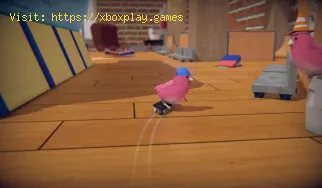 Skatebird: How to unlock the Physical skateboard