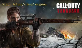 Call of Duty Vanguard: Cómo reparar el código de error Hunter-Gruber