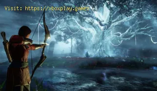 New World: Como jogar sozinho
