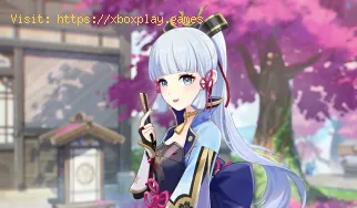 Genshin Impact: Wo finde ich Ayaka .?