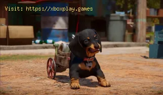 Far Cry 6: Cómo desbloquear a chorizo