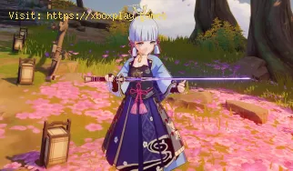 Genshin Impact: wo man die Lehren der Eleganz findet