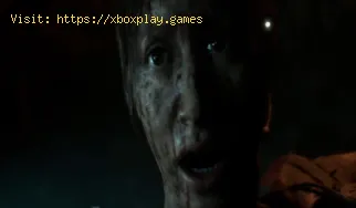 The Dark Pictures House of Ashes: Wie man mit Freunden lokal spielt