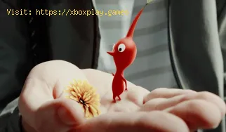 Pikmin Bloom: Wie wird der Detektor verwendet?