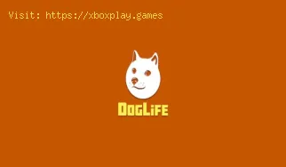 DogLife: How to get a disease cured