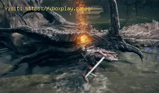 Elden Ring: Como usar fogueiras