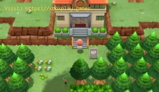 Pokémon BDSP: Wo finde ich alle Honigbäume
