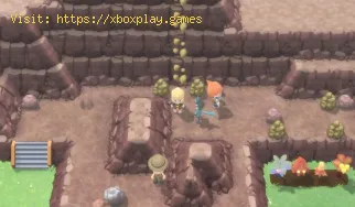 Pokémon BDSP: Comment trouver TM29 Psychic