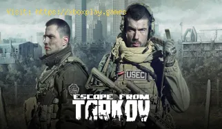 Escape From Tarkov: Cómo reparar el error 232