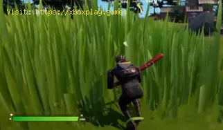 Fortnite: Where to Find Tall Grass in Chapter 3