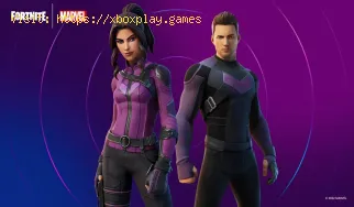 Fortnite: Cómo conseguir las Skins de Clint Barton y Kate Bishop