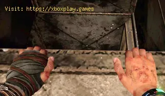 Dying Light 2: Wie wird heruntergeladen?