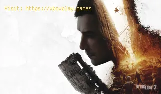 Dying Light 2: So erhöhen Sie die FPS
