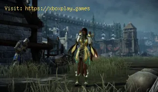Lost Ark: cómo encontrar la bandera del zorro negro