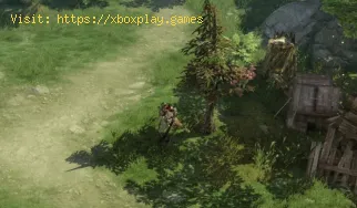 Lost Ark: Cómo desbloquear el registro
