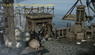 Lost Ark: cómo encontrar todas las semillas de Mokoko en Wavestrand P