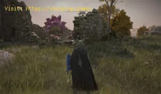 Elden Ring: Cómo encontrar el polvo de Miranda