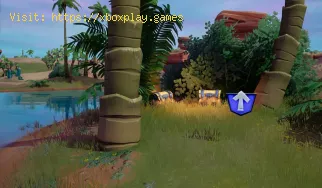 Fortnite: How to find the Level Up Token at Haven’s Oasis