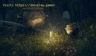 Elden Ring: cómo obtener fragmentos de tarros vivos