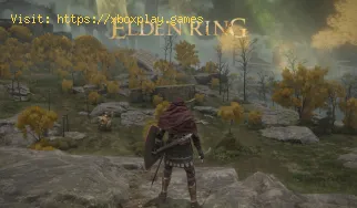 Elden Ring: dónde conseguir una ubicación de mayales