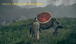 Elden Ring: Cómo despegar a Alexander