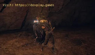 Elden Ring: So erhalten Sie die Verzauberung „Inescapable Frenzy“.
