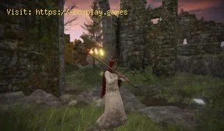 Elden Ring: Wo finde ich die Position der Elfenbeinsichel?