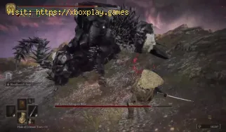 Elden Ring: Wie man ein erwachsenes Shooting Star Beast besiegt