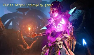 Tiny Tina's Wonderlands: How To Fix Cross-play Not Working