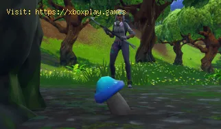 Fortnite: Como Encontrar Cogumelos Consumíveis - World Collision Miss