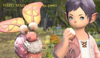 Final Fantasy XIV: come trovare l'emote Eat Egg