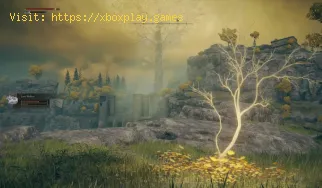 Elden Ring: dónde encontrar ramitas de sacrificio