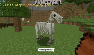 Minecraft: Wie man ein Pferd zähmt - Anleitung zum Zähmen eines Pfer