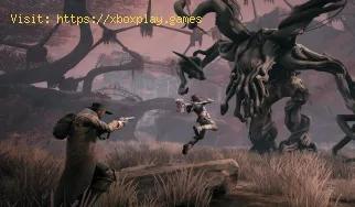 Rest: From the Ashes: Wie man Nahkampf bekämpft - Tipps und Tricks