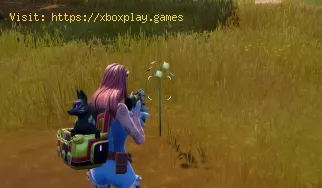 Fortnite: dónde plantar retoños en los cúmulos de cráteres de bomb