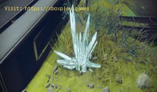 Destiny 2: So finden Sie Phaseglass Nadel