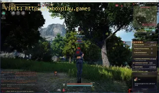 Black Desert Online: Como fazer vinho de mel