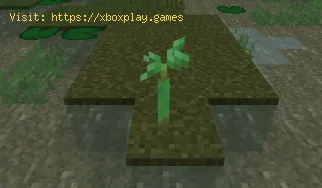 Minecraft: So erhalten Sie Mangroven-Propagula