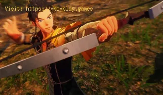 Fire Emblem Warriors Three Hopes: How to respect character