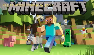 Minecraft: wie man Bienen züchtet