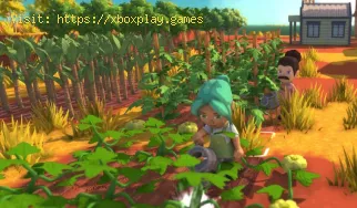 Dinkum: How to Plant a Fruit - Tips and tricks