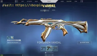 How to refund Valorant Skins
