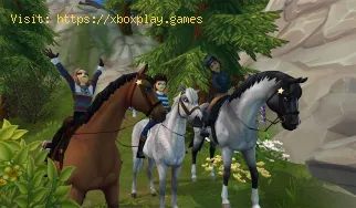 Wie man in Star Stable Sternenmünzen bekommt