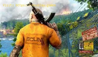 Cómo reparar el SCUM Fatal Error: [File:Unknown] [Line: 1431]