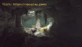 Dove trovare la grotta di Wendigo in Fallout 76