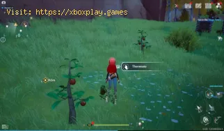 Dónde encontrar Thornmatos en Tower of Fantasy