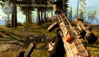 Cómo corregir el error de Warzone Obteniendo perfil en línea