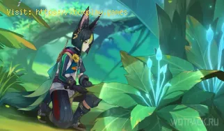 So verwenden Sie Seed Mirrors in Sumeru in Genshin Impact