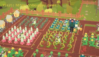 Comment obtenir des graines Ooblets dans Ooblets